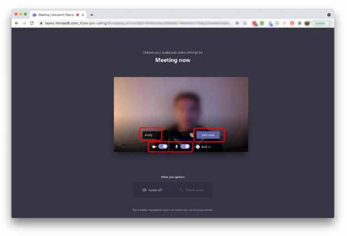 Screen grab from Microsoft Teams showing an onlone meeting on desktop