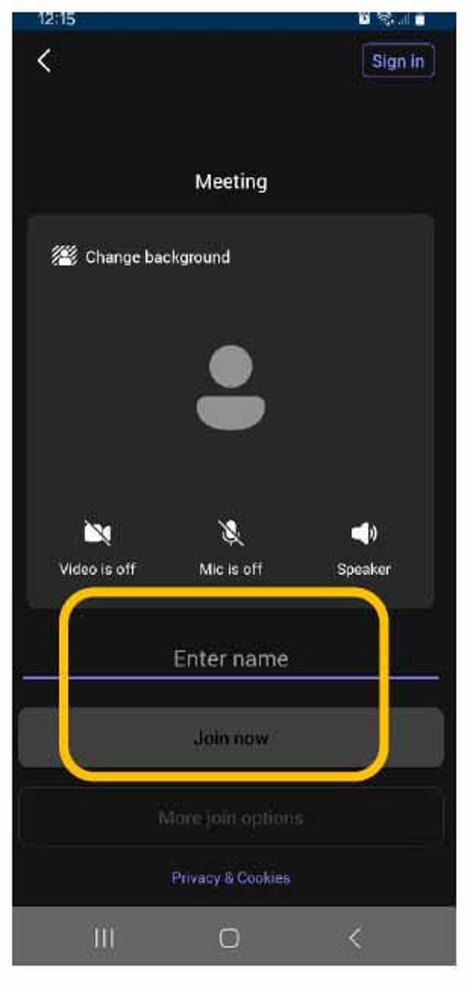 Screen grab from Microsoft Teams showing an onlone meeting on mobile